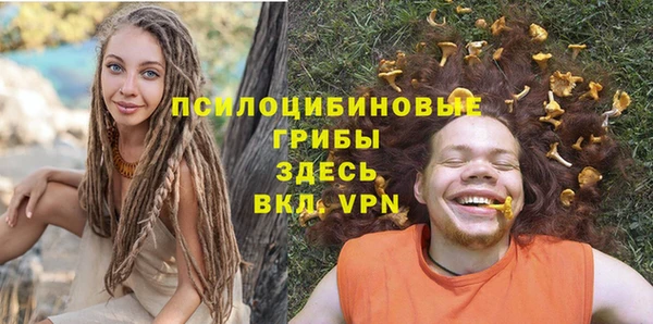 тгк Верея