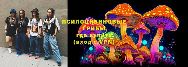 тгк Верея